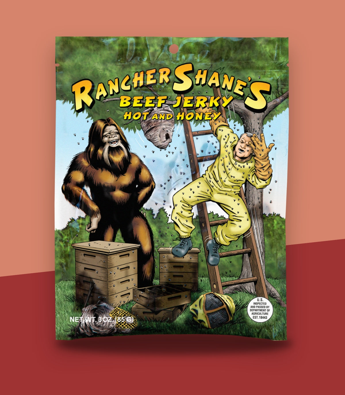 Rancher Shane's Hot and Honey All-Natural Beef Jerky front of package