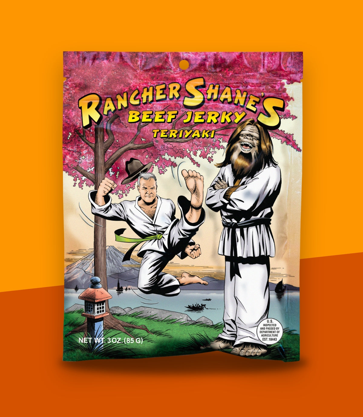 Rancher Shane's Teriyaki All-Natural Beef Jerky front of package