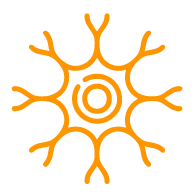 Support Nerve Health